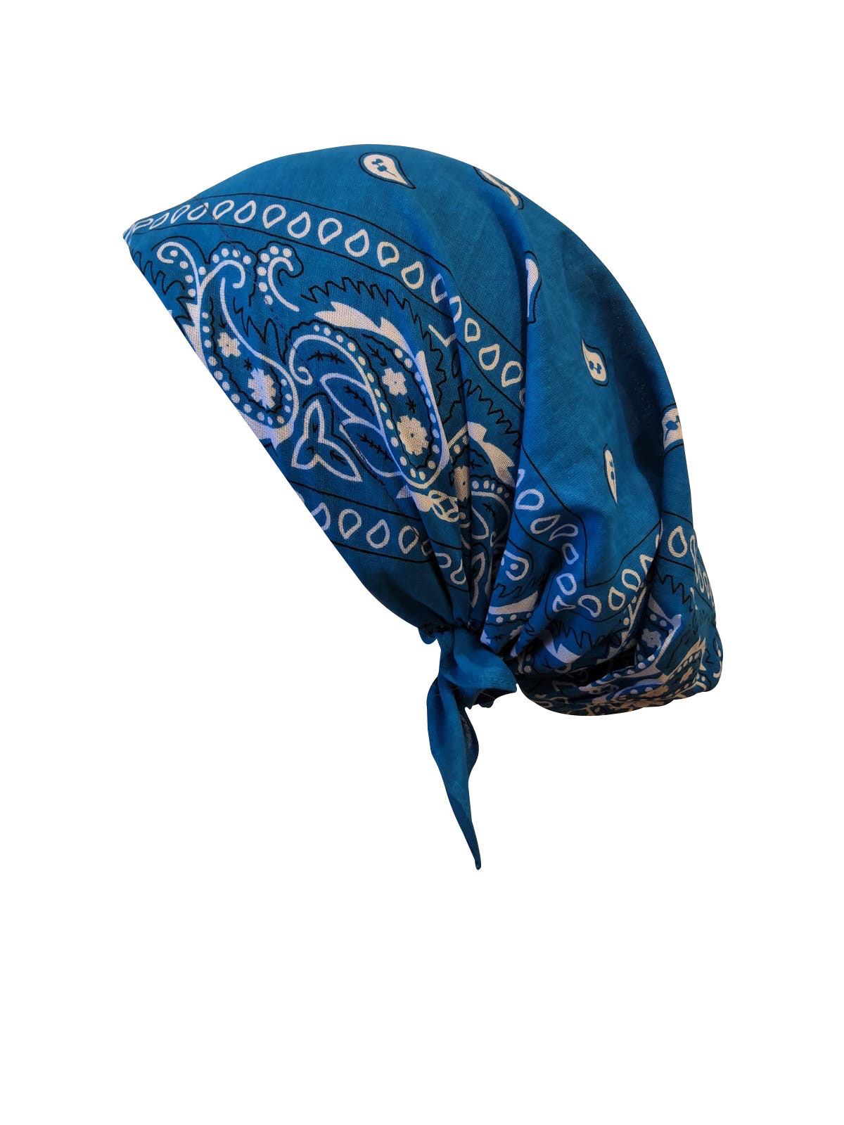 Bandana Print Collection Teal